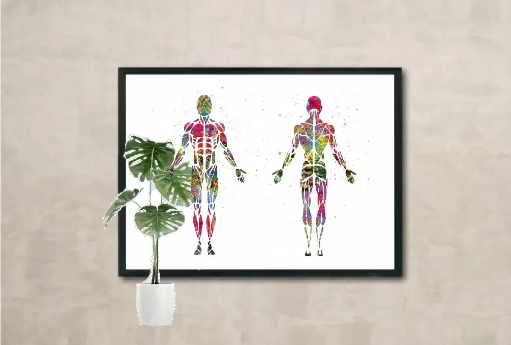 Anatomy Wall Art Poster Prints Watercolor Canvas Painting Medical Muscular System Pictures Living Room Home Clinic Decor Gift