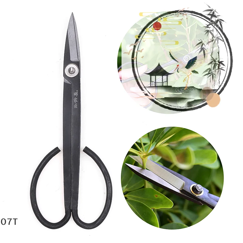 

Long Handle Scissors Bonsai Tool Branch Pruning Shears for Arranging Flowers and Trimming Plants Garden Tools
