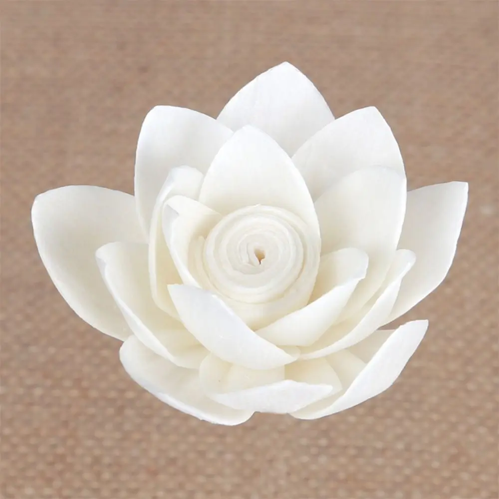 1PC Natural Dried Tongcao Flower Aromatherapy Oil Diffuser Sticks Air Freshener Rattan For Home Decoration