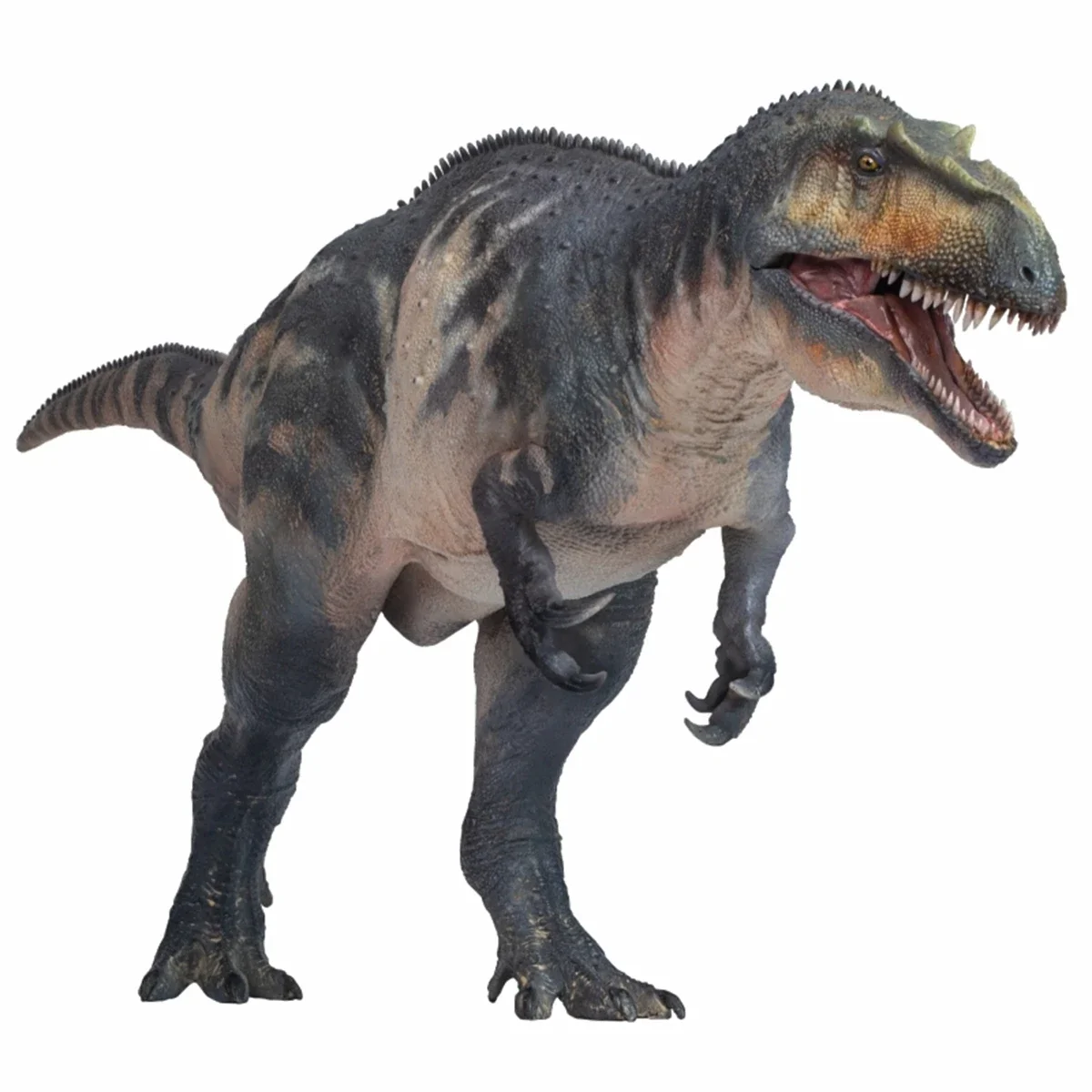 

IN STOCK! PNSO 48 Connor The Torvosaurus Model Megalosauridae Dinosaur Animal Collector Decoration Adult Toy Figure Gift