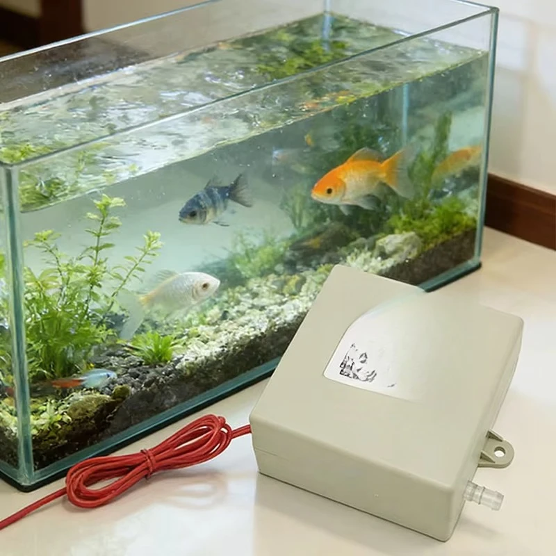 100mg Water Ozone Generator Aquarium Fish Tank Mini Ozone Machine