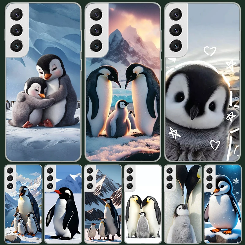 north kiteboarding north kiteboarding