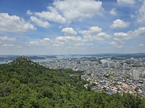 구매후기