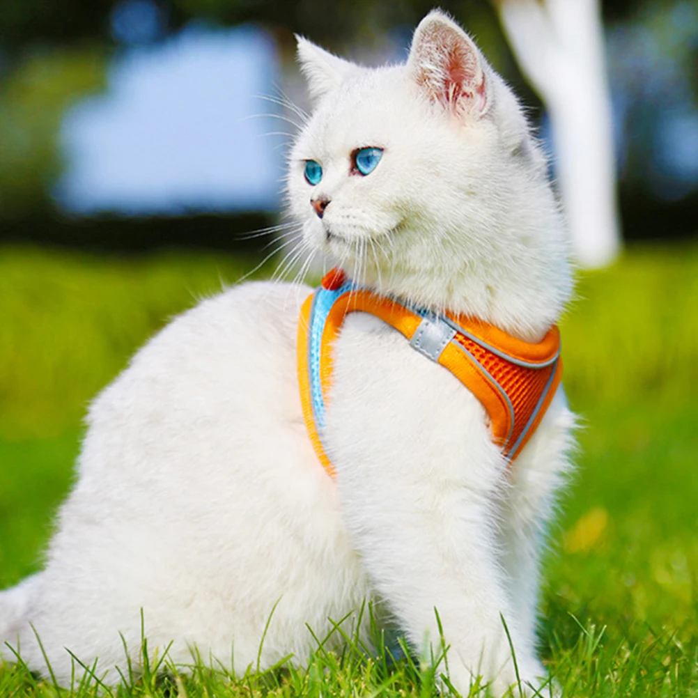 

Pet Dog Harness Leash Breathable Wear-Resistant Puppy Vest Set Reflective Orange Outdoor Walking Exercise Supplies Small Cat