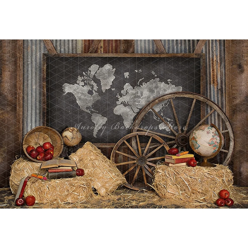 Vintage World Map Globes Geogr - огляд і ціна Photography Mapped