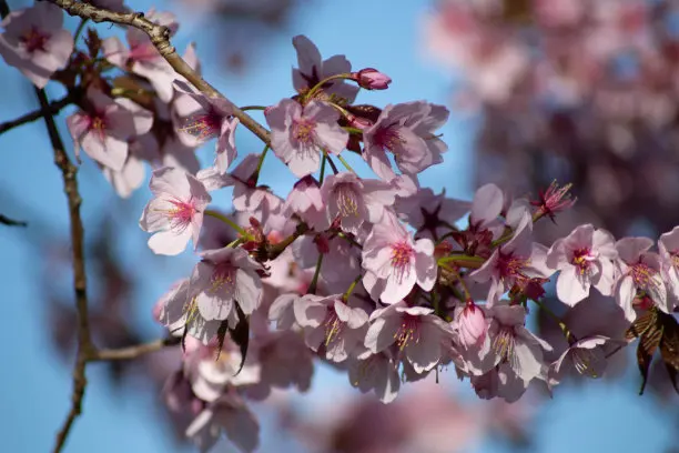 

WPL C64 C64-1 Metal Front and Rear Axle Chassis Link Rod Pull Rod Mount Side Pedal Shock Mount Set 1/16 RC Car Upgrade Parts