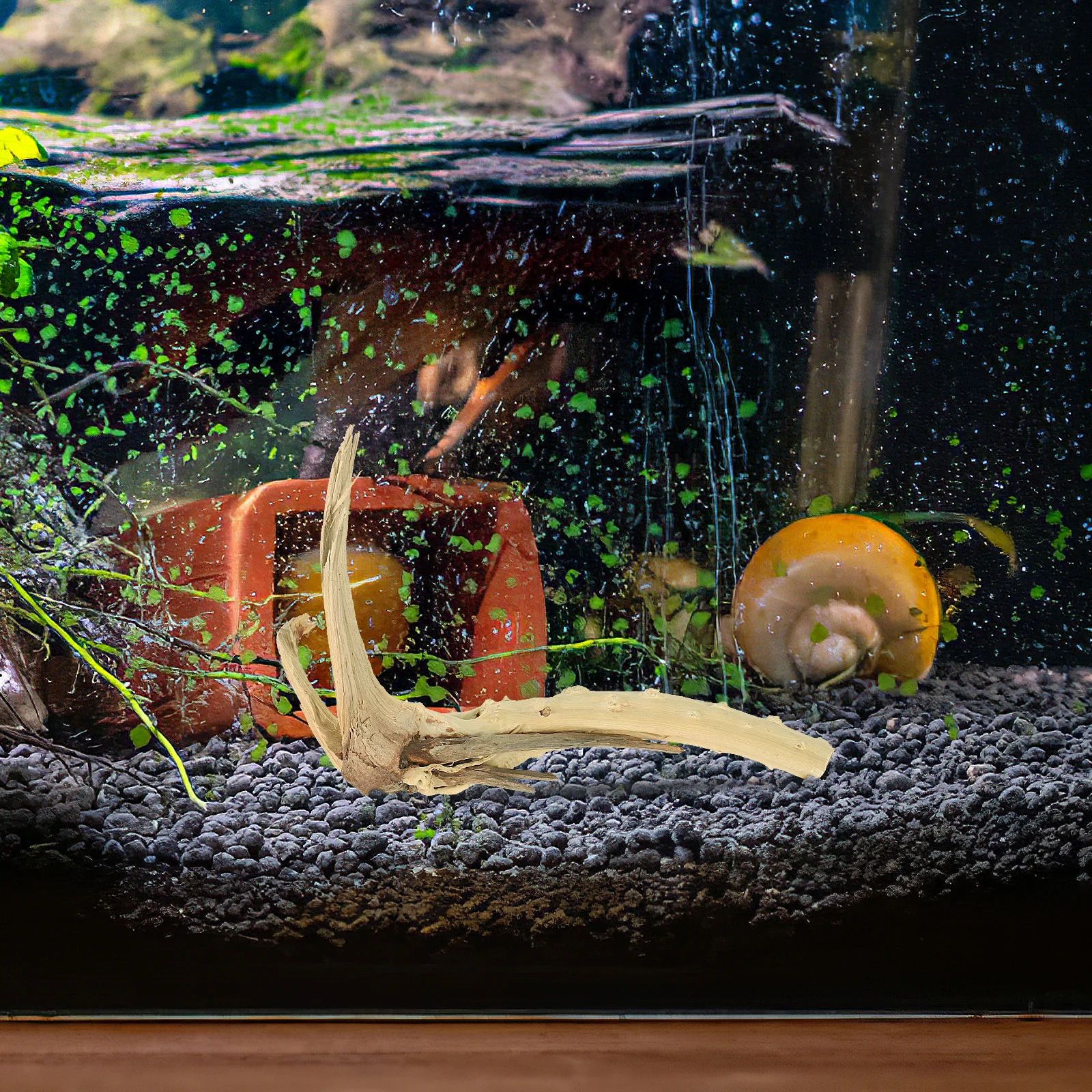 

Driftwood Branch for Freshwater Aquarium Fish Tank Decoration pH Buffering Wood Eco Friendly Anchor Moss