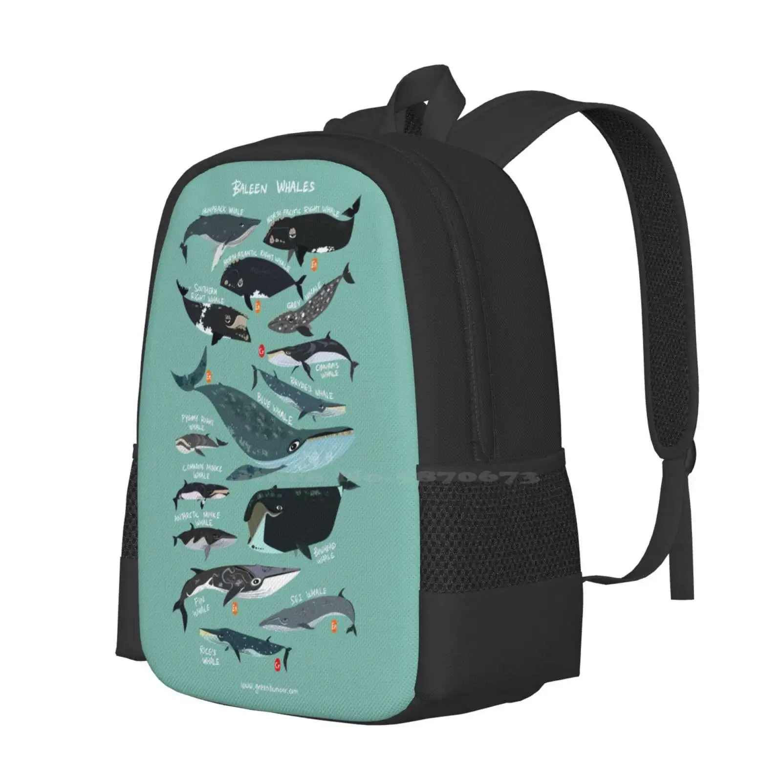 Baleen Whales Pattern Design Laptop Travel School Bags Baleen Whale Cute Funny Humour Wildlife Nature Science Zoology Species