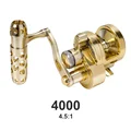 4000