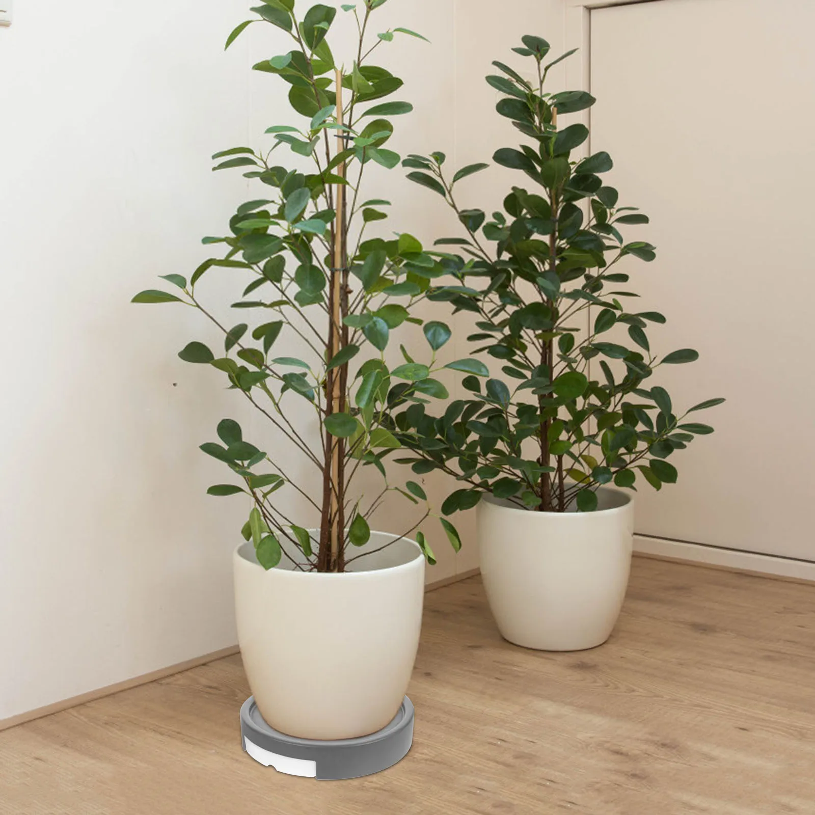 

Movable Flowerpot Tray With Wheels Planter Stand Water Resistant Lightweight Indoor Outdoor Gardening Base Holder For Potted