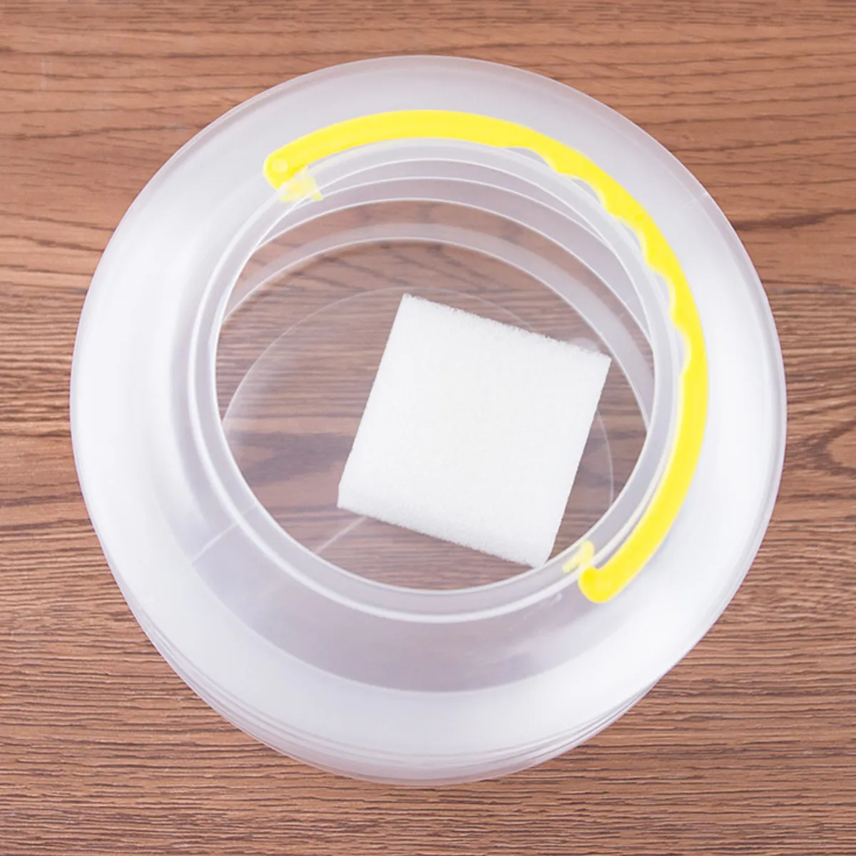 

12Pcs Brush Washing Bucket Portable Folding Transparent Painting Brush Washer for Art Class Outdoor Travel Watercolor Paint Tool