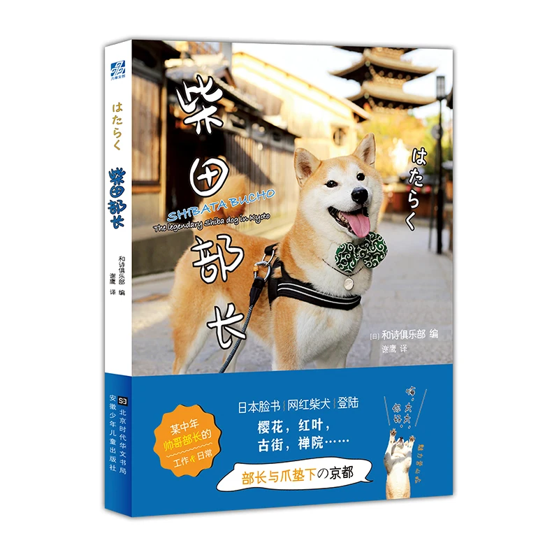 Chai Tian Bu Zhang すばる Japanese Net Red Shiba Inu Official Photobook Life Photo The Customs of Kyoto From a Dog's Perspective