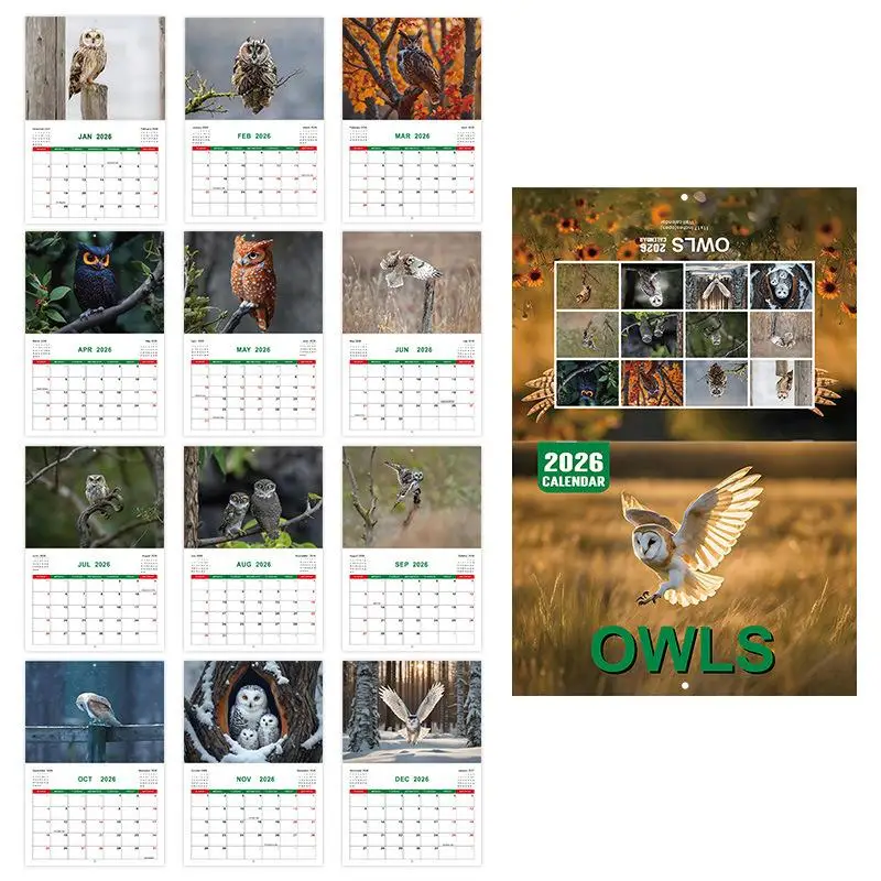 

New 2026 Calendar - 12 Month Owles Wall Calendar Fun Cute Home Decor For Scheduling And More