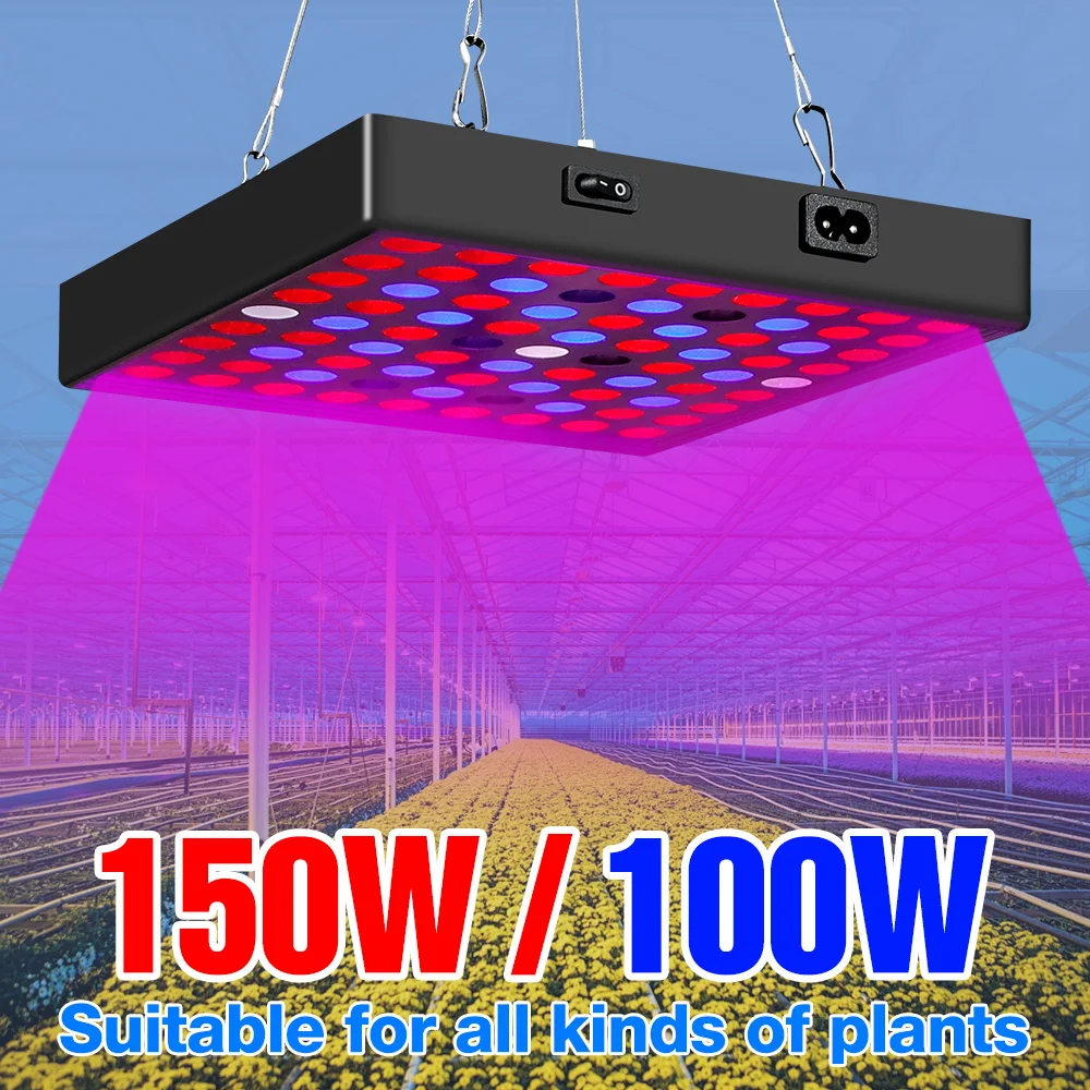 

Светодиодная лампа для растений 150 Вт, полный спектр, Quantum Board, для теплиц, овощей, цветов, гидропоники, выращивания в помещении