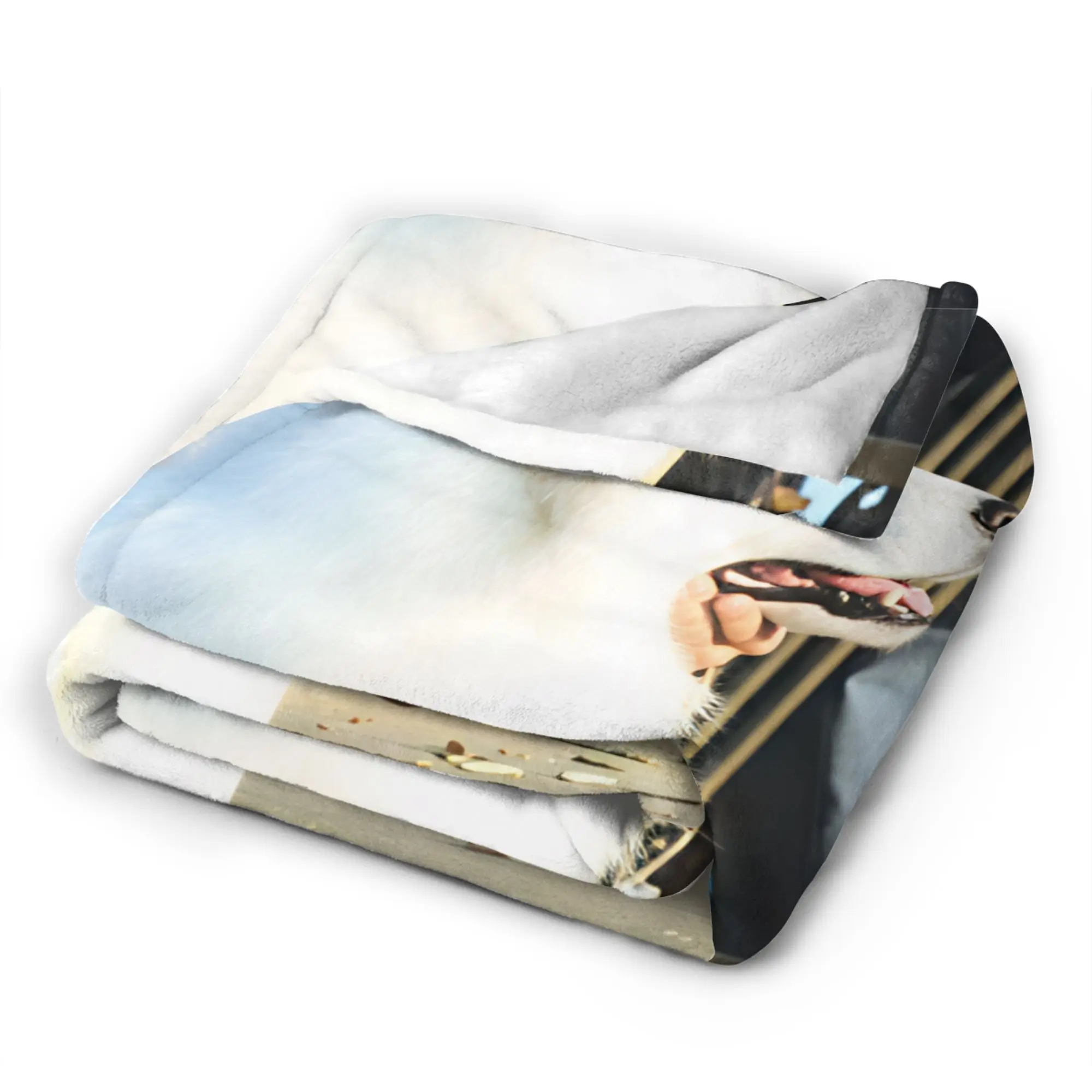The Early Spring jing boran  Plush Blanket Children  Flannel Throw Blanket For Outdoor Super Soft Custom DIY Quality