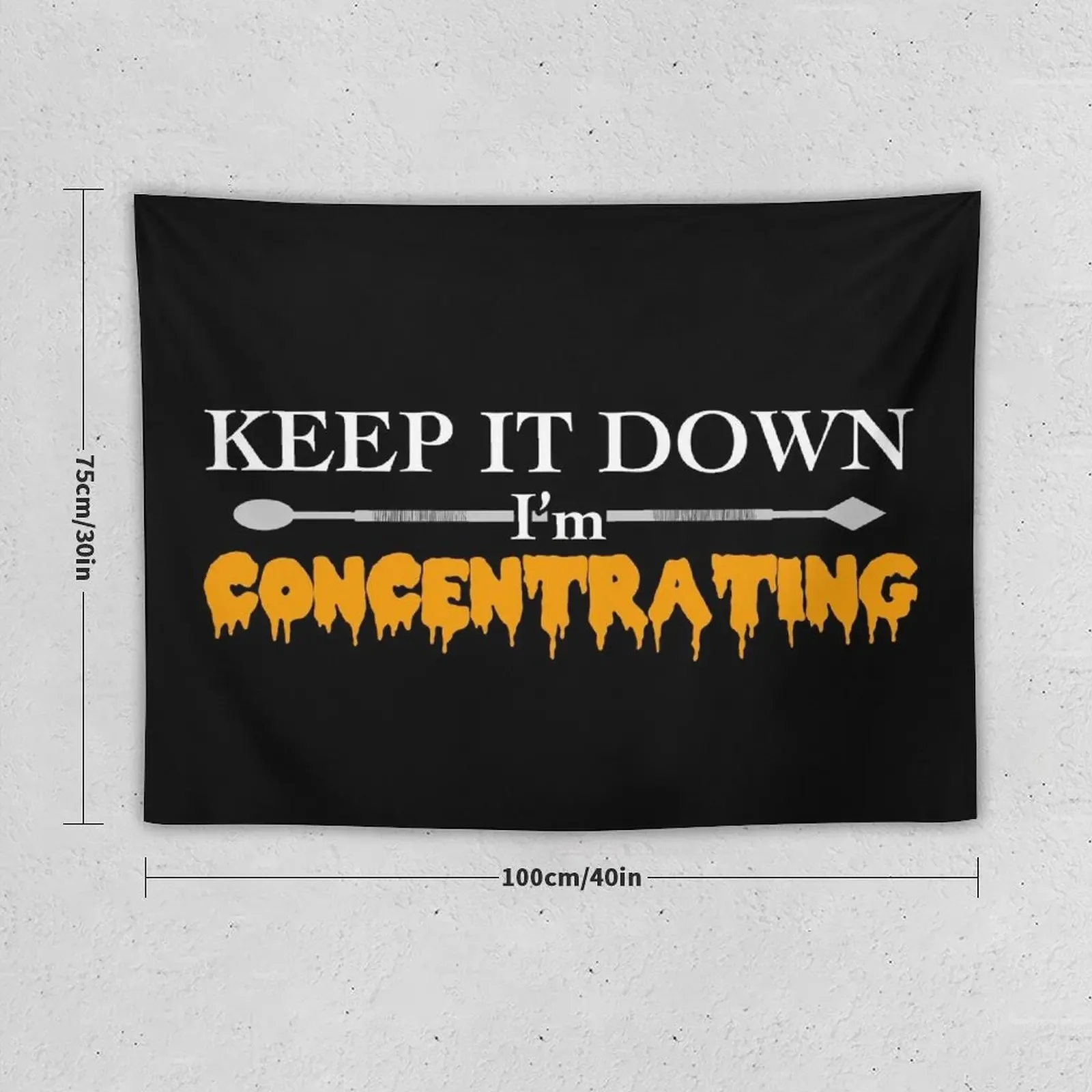 THE ORIGINAL Keep it down im concentrating Tapestry Nordic Home Decor Room Design Funny Wall Decoration Items Tapestry