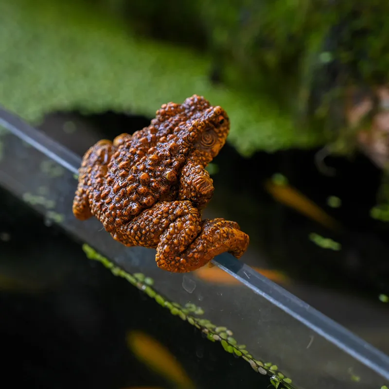 Two Pcs Lucky Fortune Toad Hanging Ornaments For Fish Tank Bonsai Garden Edge Micro Landscape Decor Great Gift For Aquarium Gard