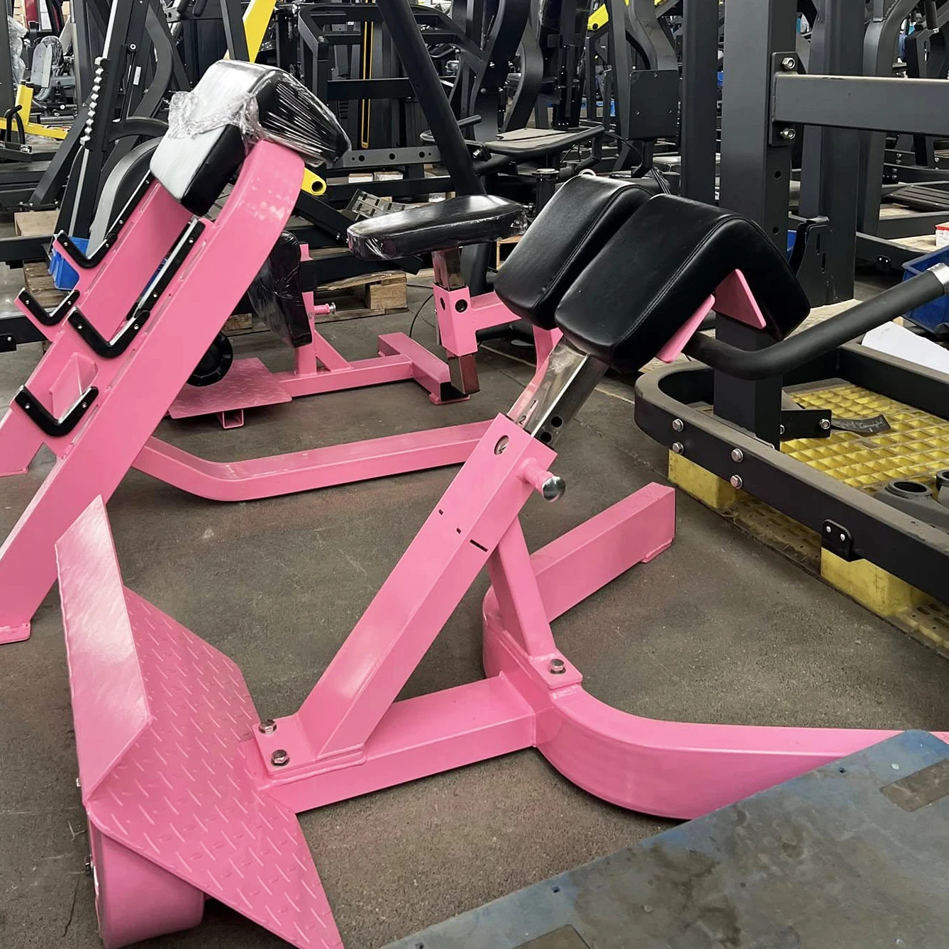 High-quality Fitness Equipment Roman Chair Reverse Hyper Extension Lower Back Exercise Benches 45 Degree Back Extension