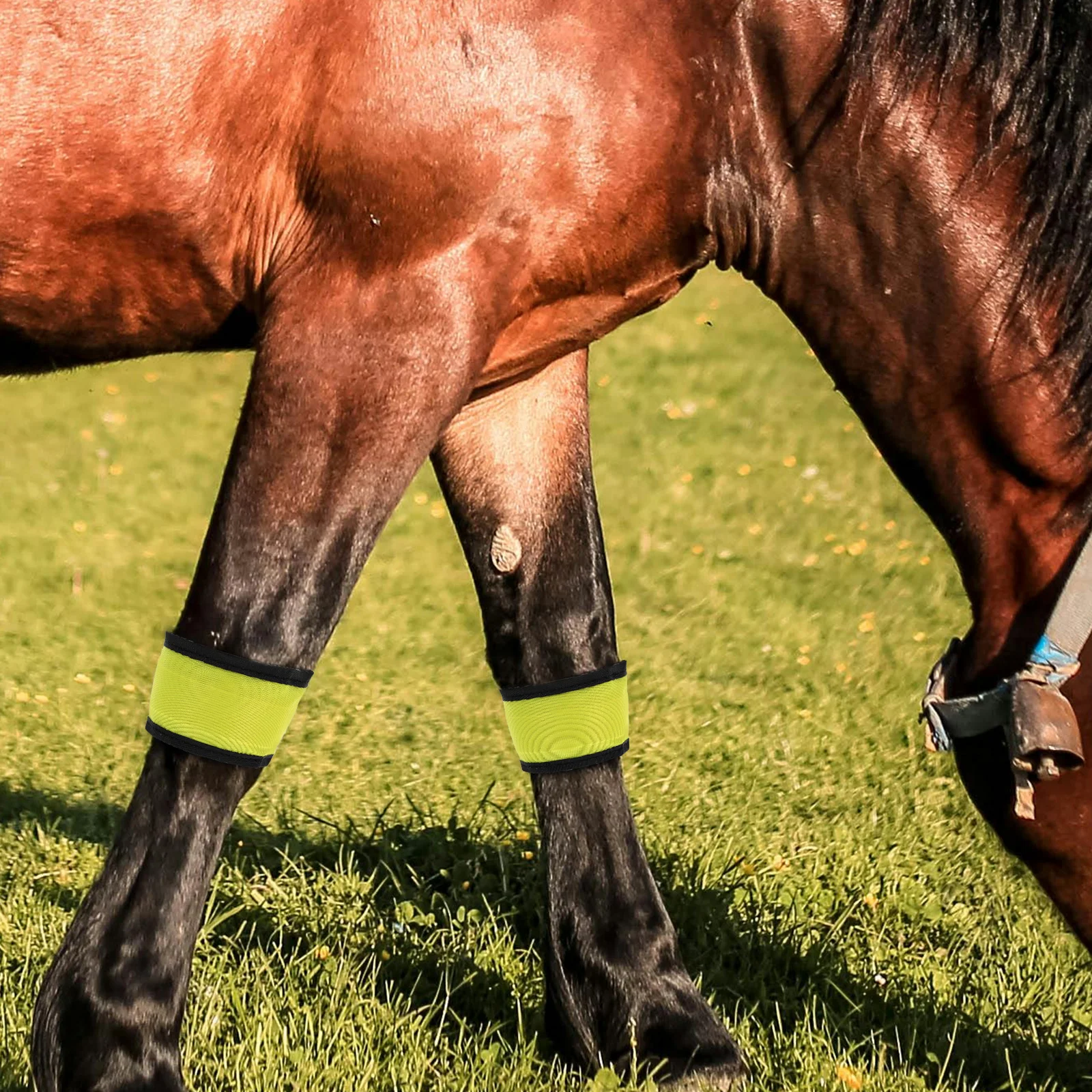 

4Pcs High Brightness LED Horse Leg Bands Flashing Ankle Straps for Night Riding Safety Lightweight Portable Equestrian Riding
