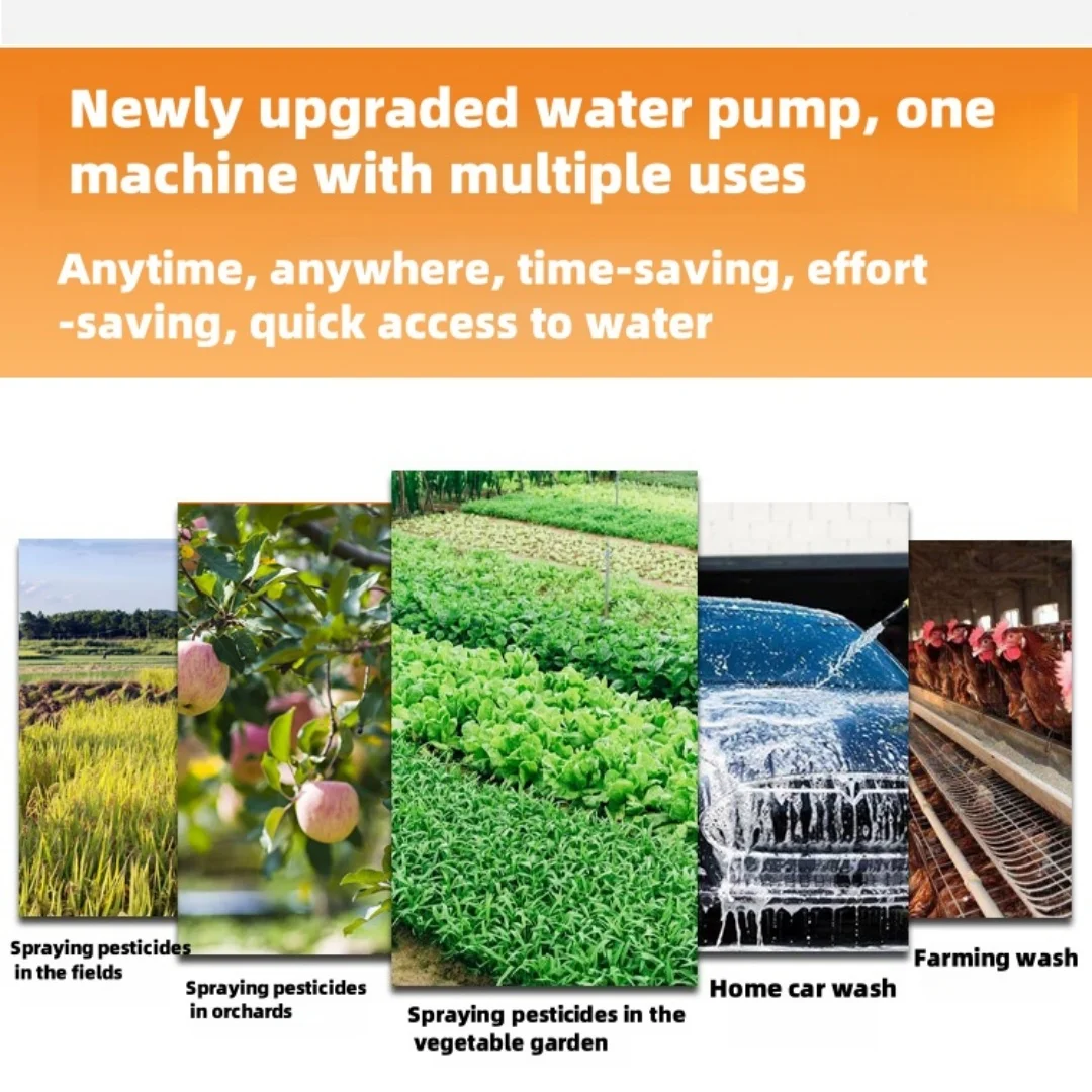 Agricultural High Pressure Pump 12V/24V//220V Dosing Pump Spray Watering Car Washing Irrigation Double Cylinder Plunger
