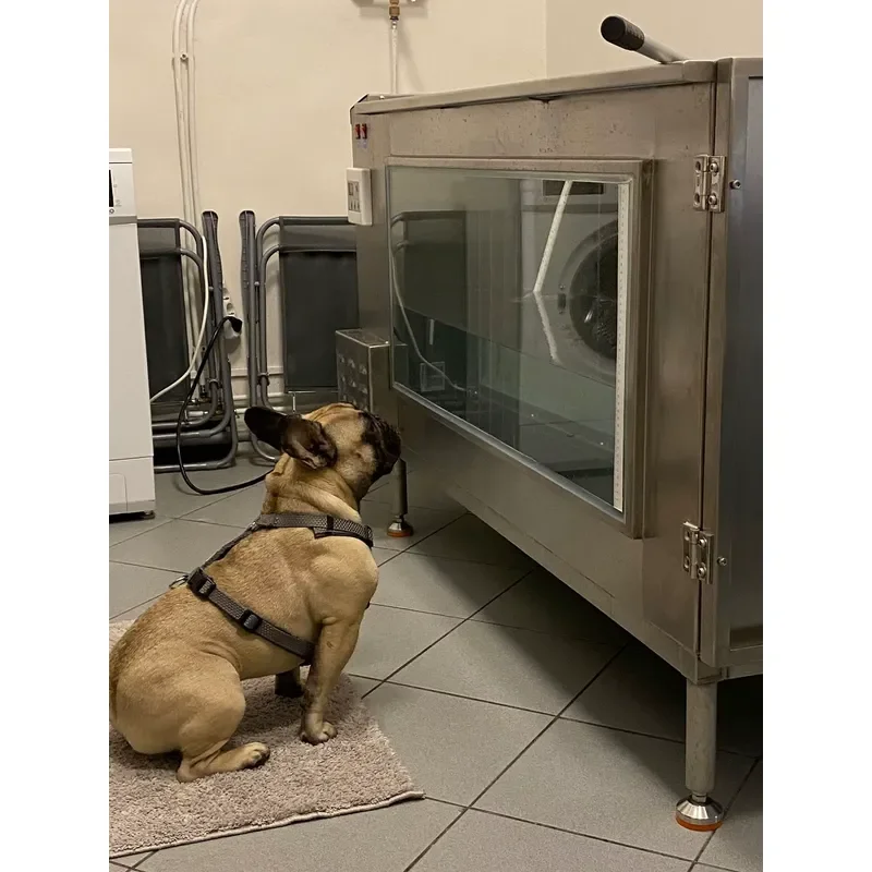PetFit Customised Waterproof Dog Underwater Treadmill for Pet Training & Rehabilitation Veterinary Clinic Use
