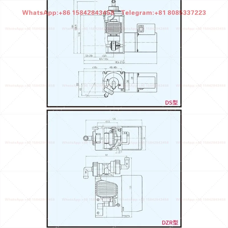 Bellows Metering Pump DZ-1X.2X.2Z DS/DZN Liquid Dosing Pump Micro Water Supply Pump Replacement