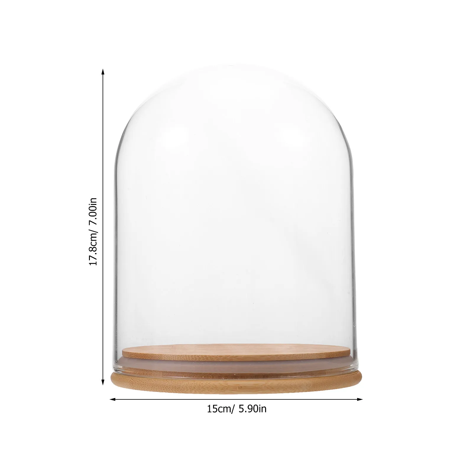 Glass Cloche Display Dome Bell Shaped Clear Transparent Glass Dome with Bamboo Base for Preserved Flowers Dried Flowers