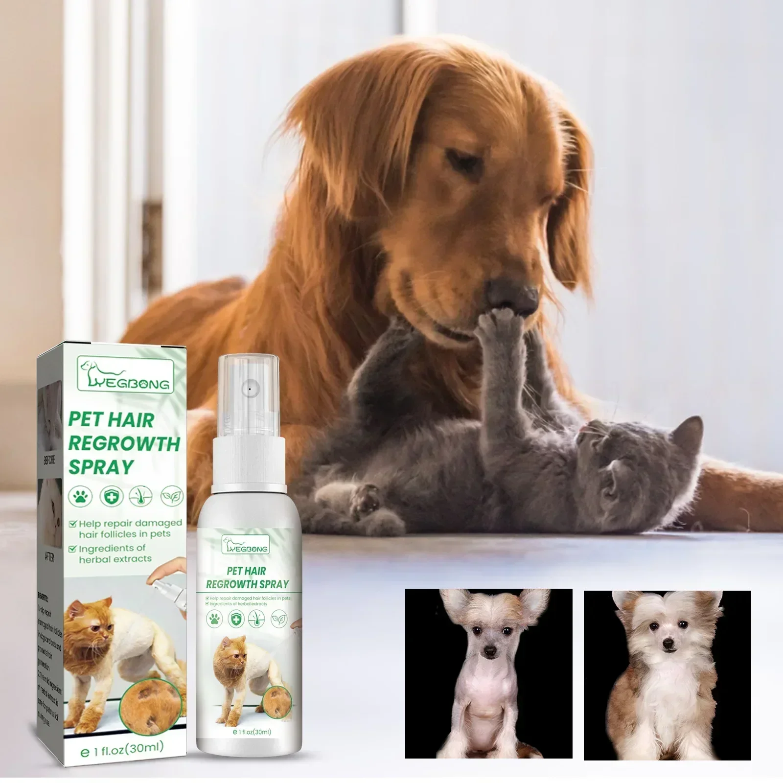 Hundehaarausfall-Behandlungen, Nahrungsergänzungsmittel für Hunde und Katzen, ungiftig, sichere Inhaltsstoffe für den Körper, fördert das Haarwachstum