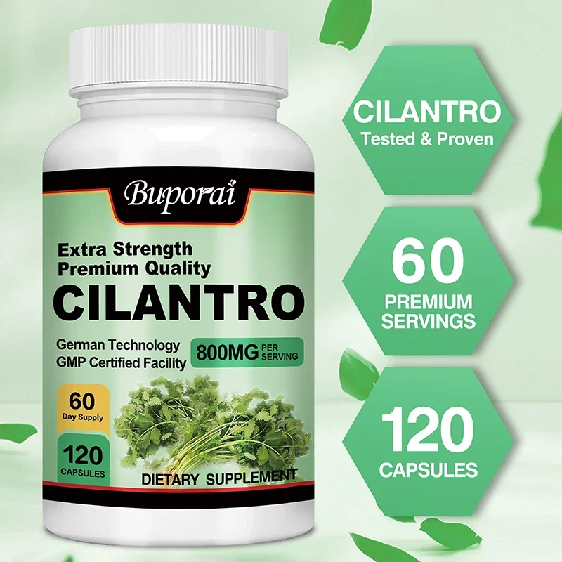 Cilantro Supplement - Antioxidant, Promotes Digestive Health, Natural Detoxification and Cleansing, Boosts Immune Function