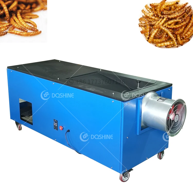 High-capacity Hot-selling Tenebrio Molitor Sorting And Screening Machine Larvae Separator
