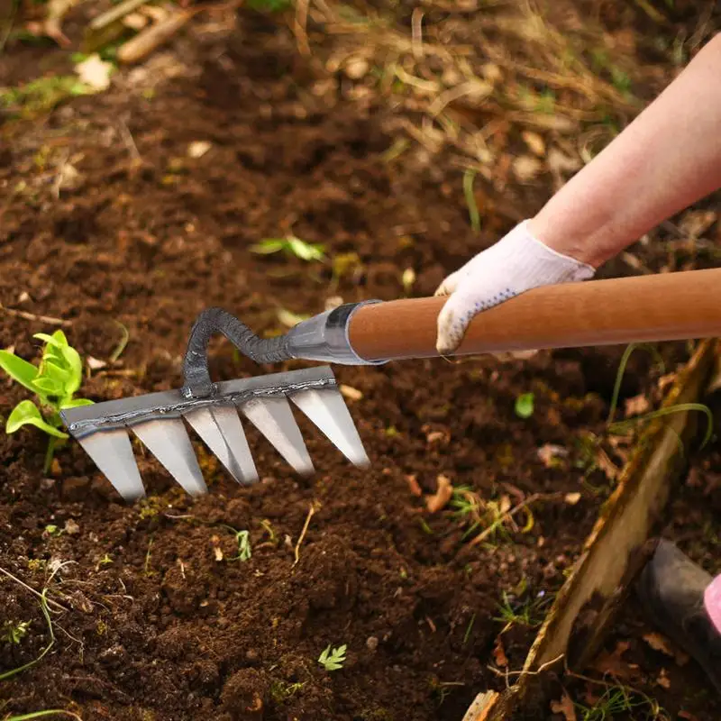 Imagem -05 - Ferro de Jardinagem Enxada para Ervas Daninhas Rake Farm Tool Agarra e Raking Soltando o Solo Ancinho para Unhas Ferramentas Agrícolas Dentes Dentes Dentes Dentes
