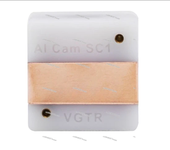 

SingTown AI Vision Module Artificial Intelligence Object Detection Yolo