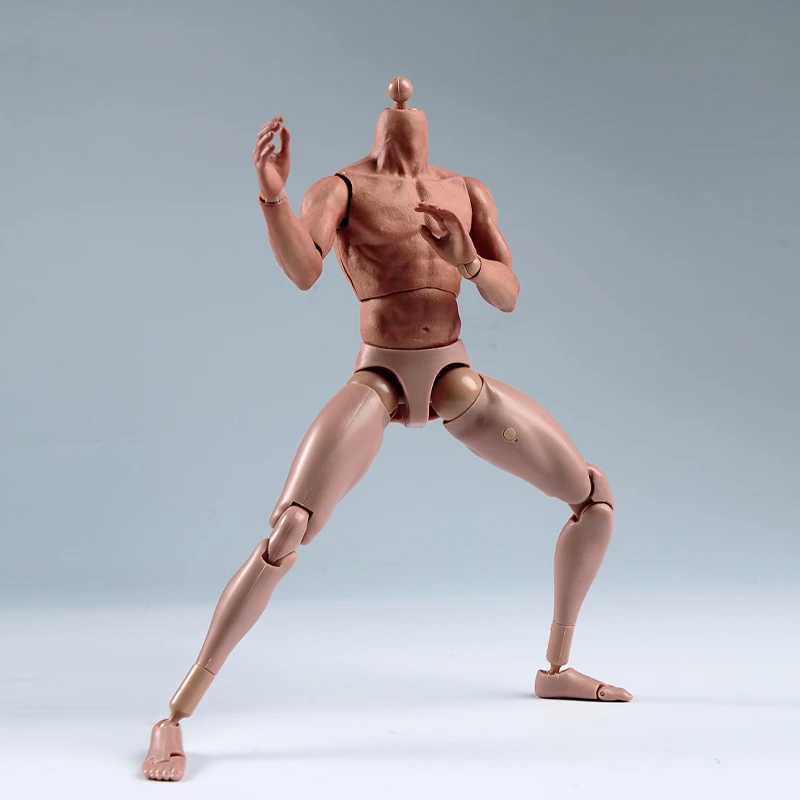 1/6 스케일 남성 근육 바디 S001 ZCtoys HTTTM19 12 인치 군용 군인 액션 피규어 바디 모델과 같은