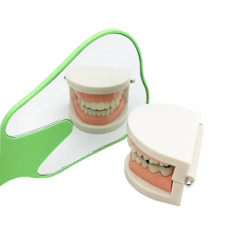 1Pc Glass Tooth Shape Mirror Hand Use Mirrors for Dental Clinic 6 Colors Dentist Gift