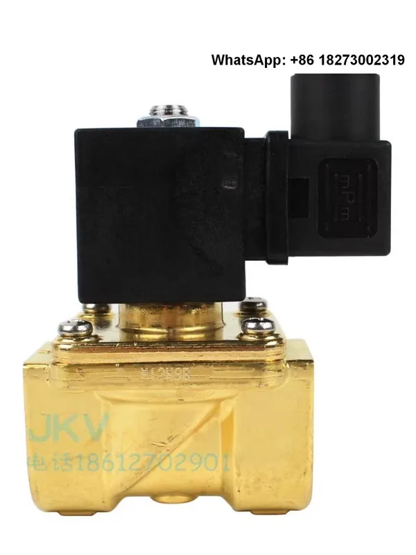 Italian ODE solenoid valve 21H9KV180 brass wire buckle switch valve in stock, 6-point DC12V