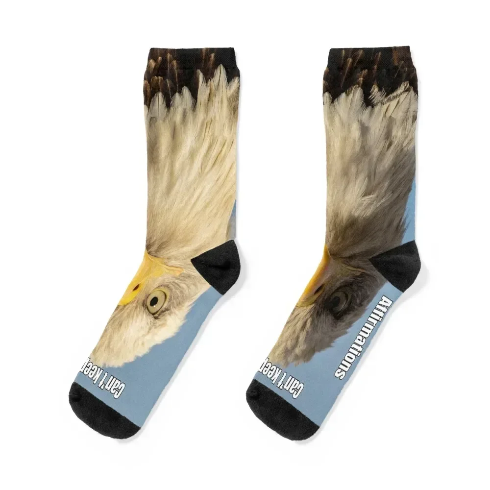 

Affirmation Socks custom sports kawaii hip hop bright garter Girl'S Socks Men's cute with print kids Socks For Women Men's