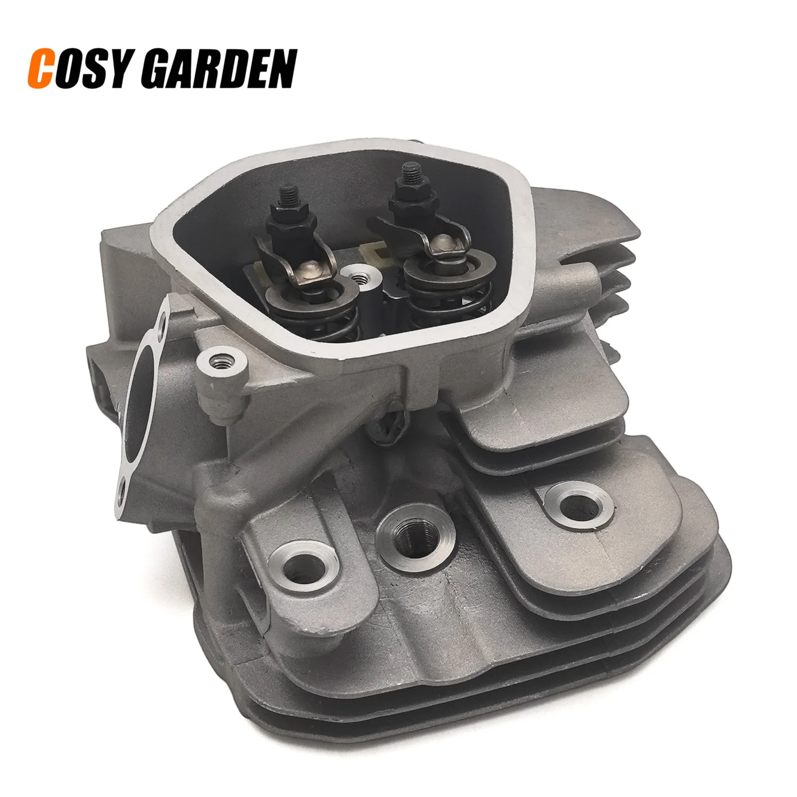 

Cylinder Head Assembly w/ Valves Springs, Gas Engine Replacement for Brush Cutter Strimmer Weed Wacker Trimmer Spare Parts