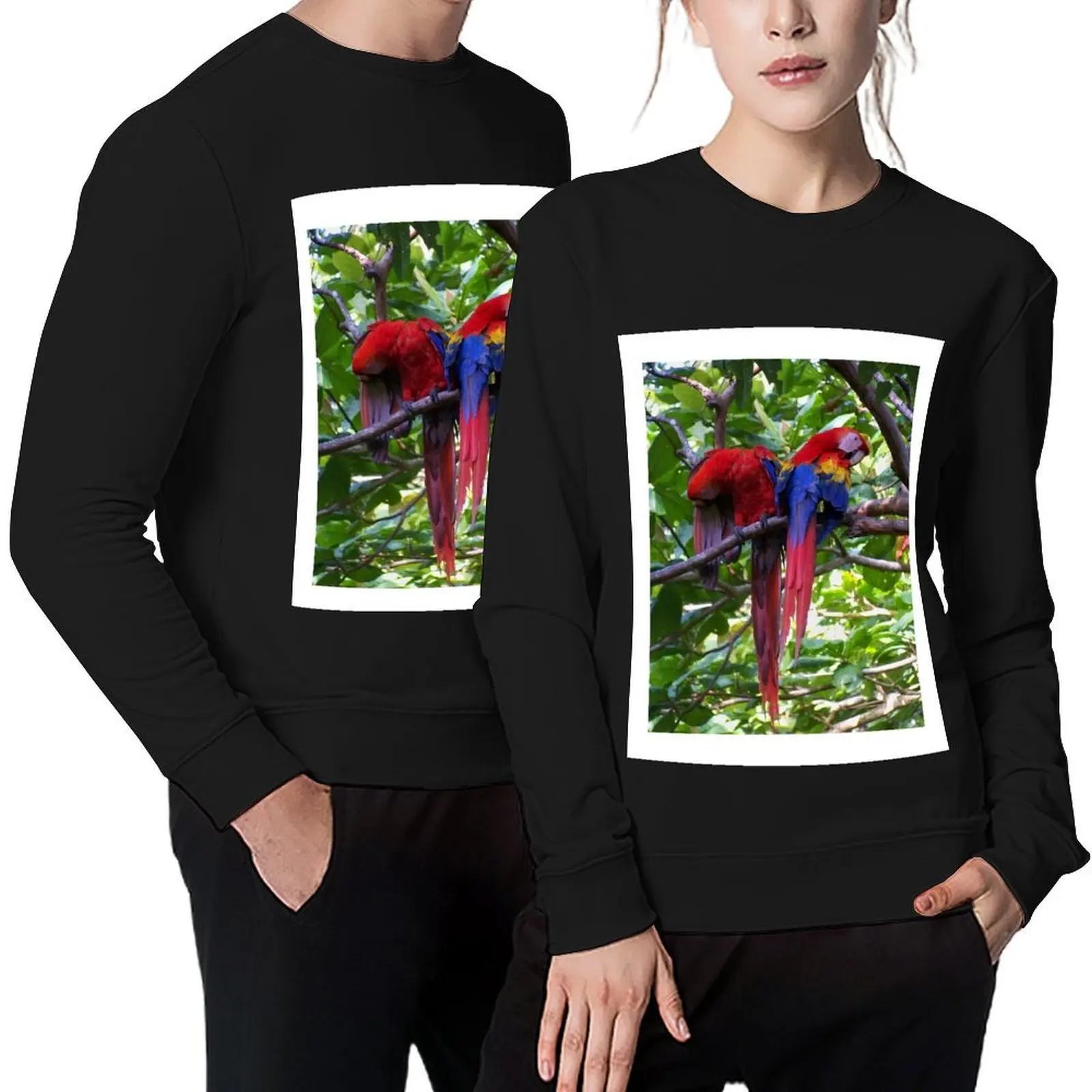 

Scarlet Macaws Pullover autumn men wear winter clothes korean style clothes men's sweatshirts
