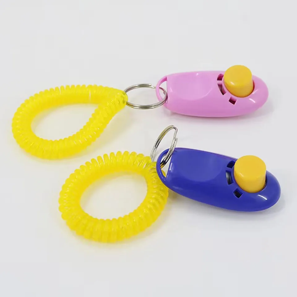 New Home Parrot Training Clicker Parrot Toy Training Educational Toys