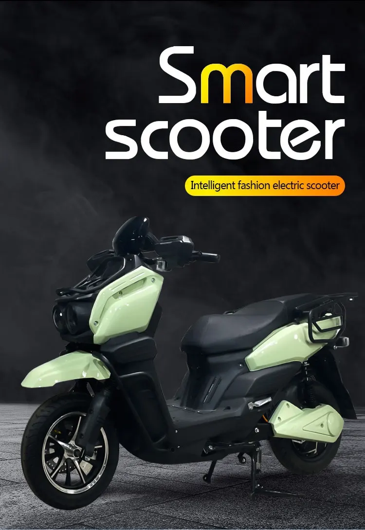 

High-Speed Electric City Motorcycle for Bike and Bicycle Riding 1000W Power with Lead-Acid Battery Supply