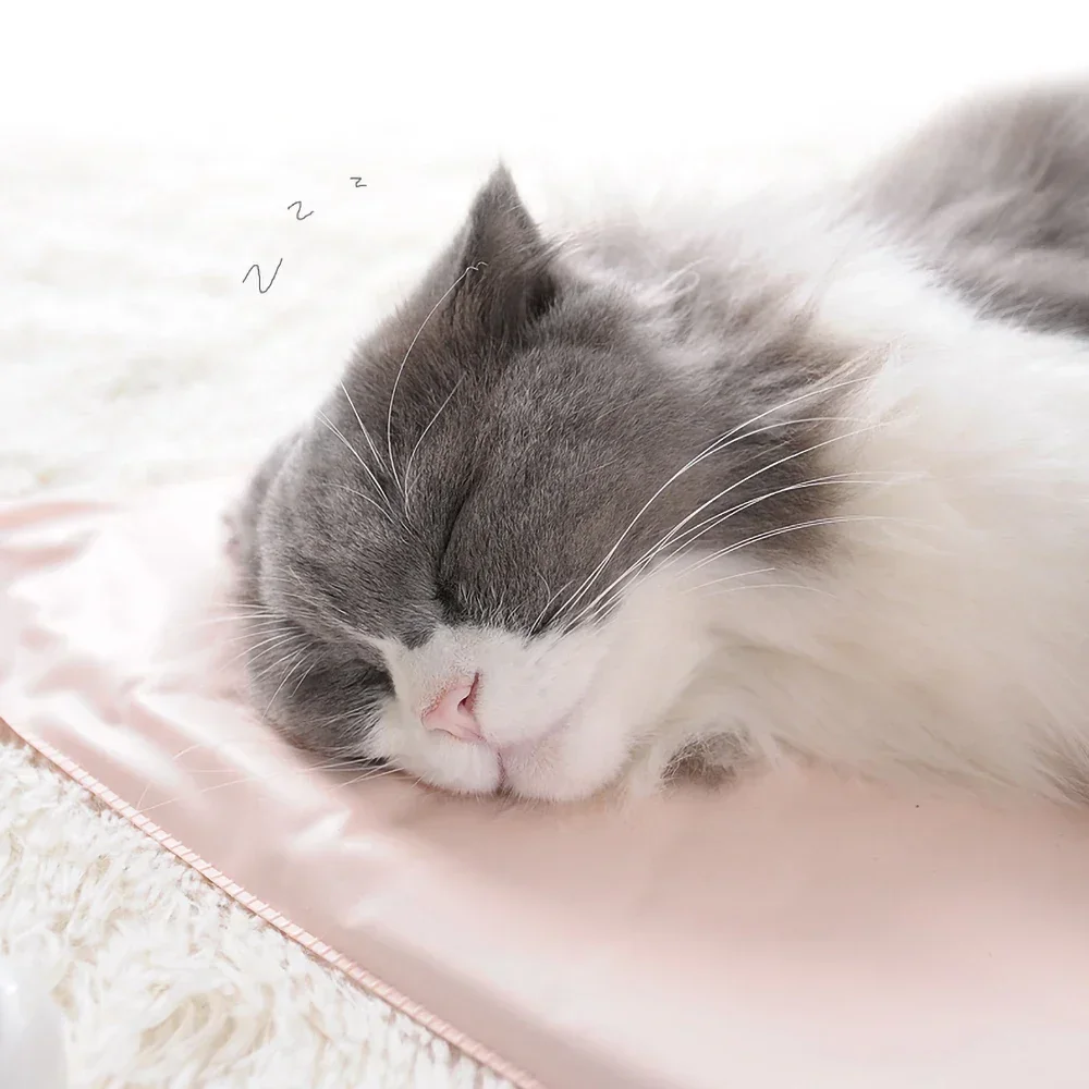 Winter Pet Heating Blanket Waterproof Wearable Wear Resistant Temperature Warm Cat Dog Mattress Indoor Heating Pad Pet Supplies view 3