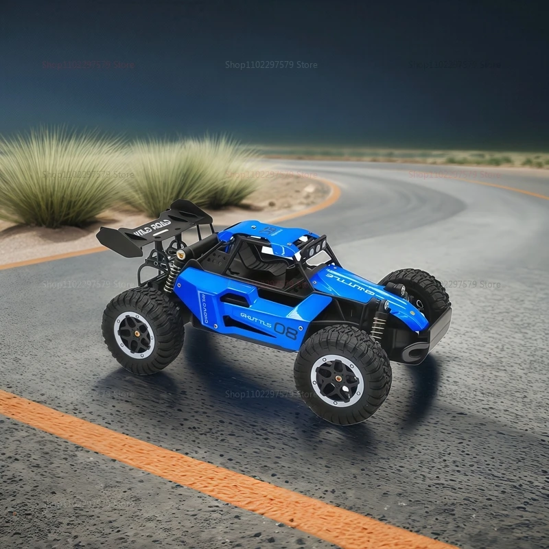 2WD 1:16 RC Off Road Cars 20KM/H With LED Lights Remote Control Car High Speed Drift Monster 2x2 Outdoor Truck for Kid Adult Toy