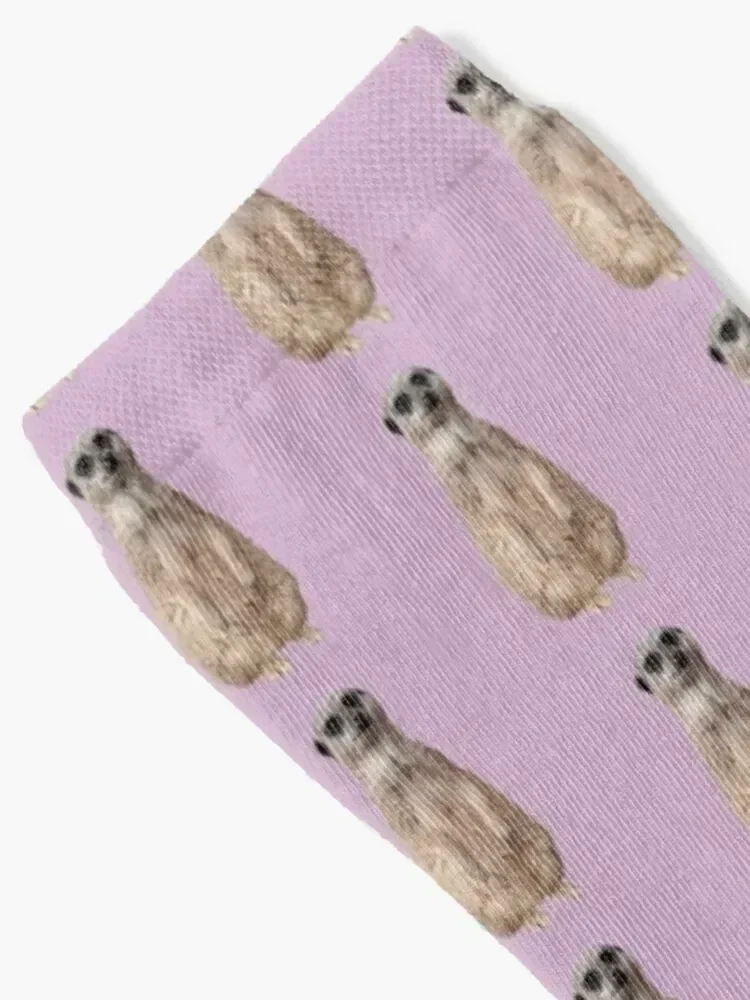 Meerkat - Cute meerkat watching the view -Pink background Socks Lots shoes Socks Women Men's