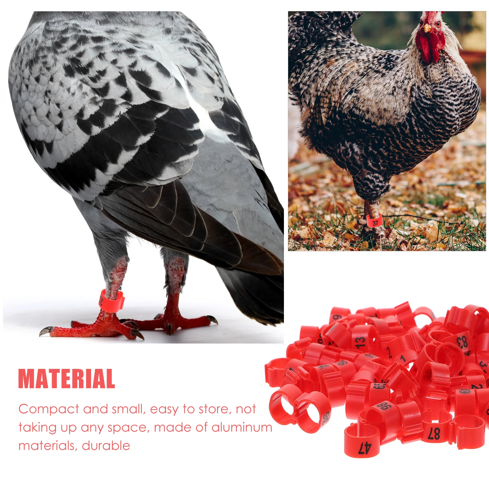 

100 Pcs Pigeon Foot Ring Poultry Ankle Bands Baby Leg Pet Bird Labels Plastic Rings Tags