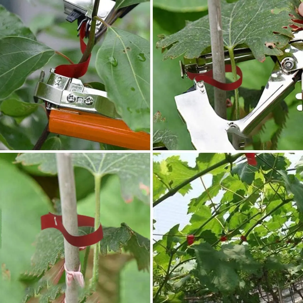 2025DIY Plant Tying Machine 20 Rolls Tapes 10000pcs Staples Replacement Blades (Green) Grapes Tomatoes Vining Vegetables