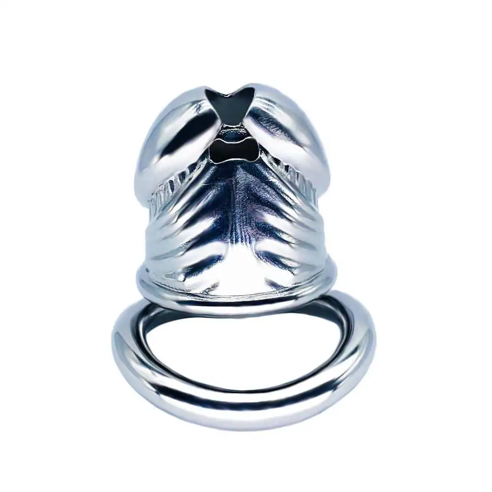 FRRK Steel Men\'s Realistic Penis Chastity Cage Device with Hex Lock Screw Chastity Lock Clasp Adult Fun Bondage Male Sex Toys