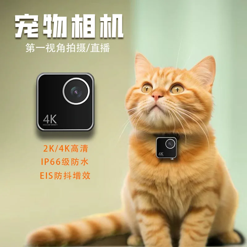 Animal cat dog pet camera first view smart collar neck camera