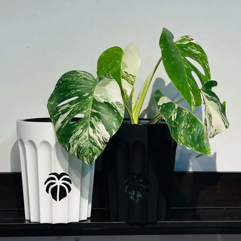 

Nordic Breathable Lazy Flower Pot Easy to Use Simple Self-watering Hydroponic Pot Plastic Plant Pot Balcony