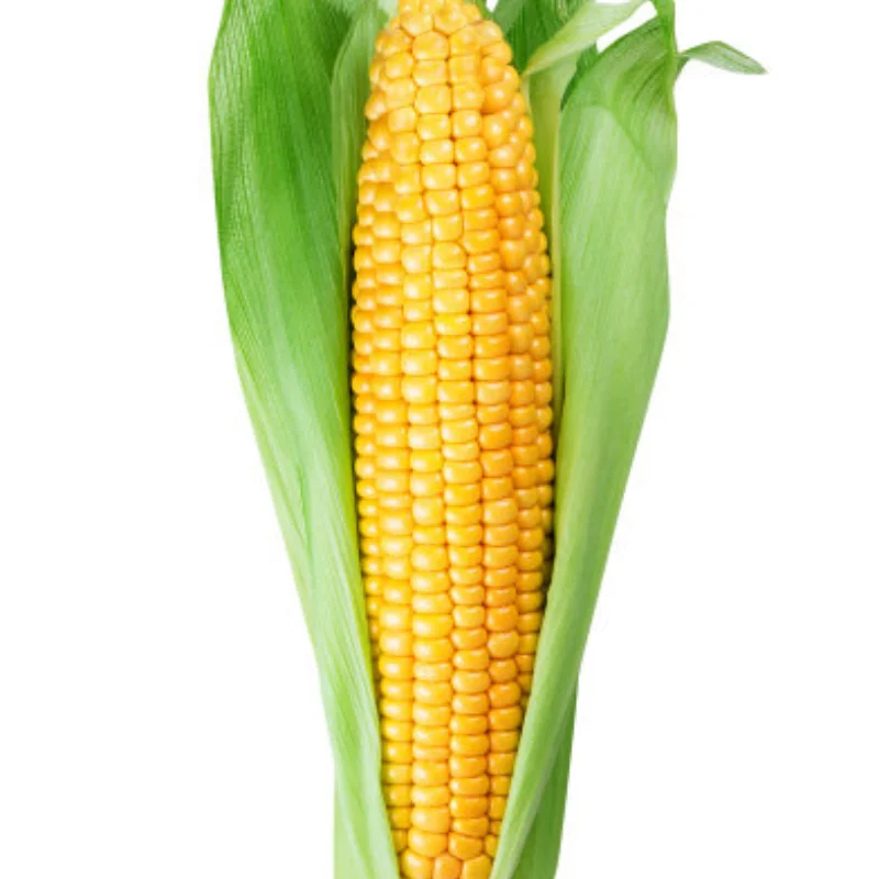 

1.9" Metal Beadlock Wheels Rims w/Tornado Holes -Premium for 1/10 RC Crawler -Fits Axial RC4WD SCX10, TRX4/6