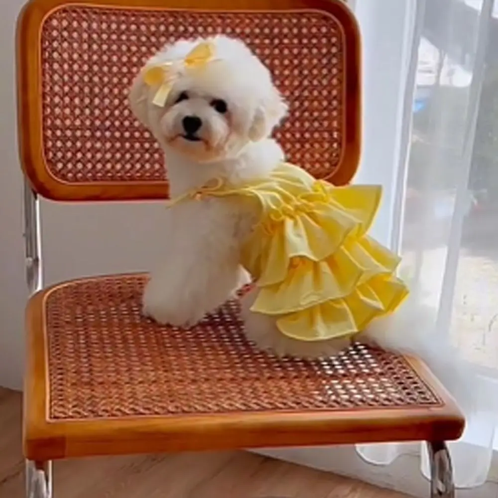 Fashion Cute Pet Love Strap Cake Skirt Breathable Soft Cat Princess Dresses Thin Design Pet Summer Clothes for Puppy Kittens